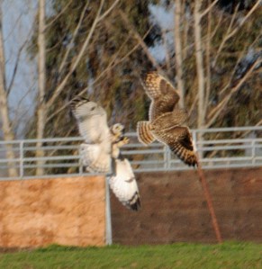 2298782463_7a14f82750_o