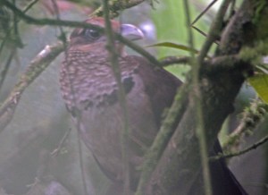 2343104784_017368366b_o