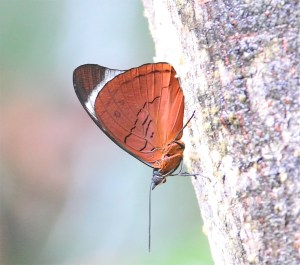 2678420964_952697117f_o