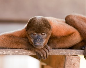 4961742067_a882d195f7_o