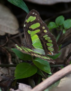 8324504986_de84bed1e2_o