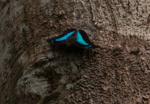 8324516498_c3f04ebec4_o