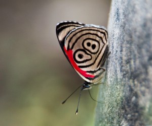 9414005551_9042cfefba_o